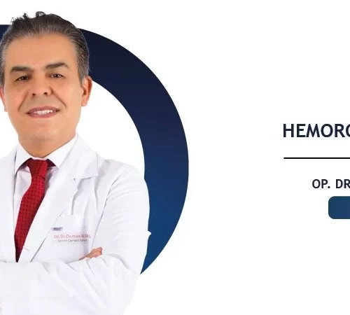 Hemoroid Nedir?