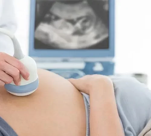obstetri usg kullanılan hamile kadın