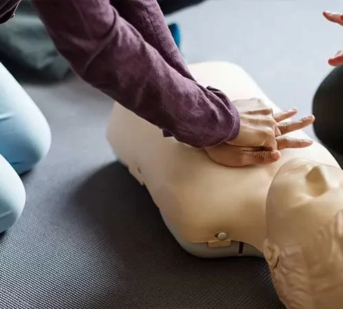 temel-yasam-destegi-e Temel Yaşam Desteği Uygulaması