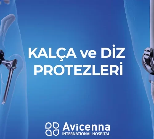 Diz ve kalça protezleri