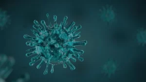 kronik hepatit virüsü