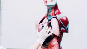 transplantasyon cerrahisi organ nakli