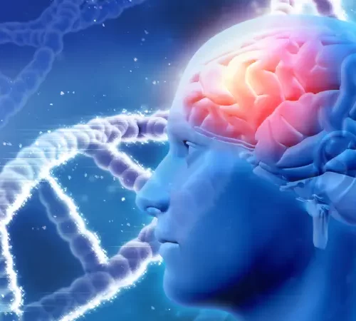 Anksiyete TMS Tedavisi Etkili midir?