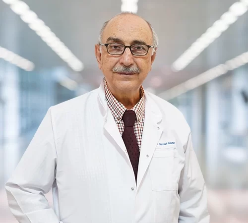 Prof. Dr. Ahmet Ferruh GEZEN