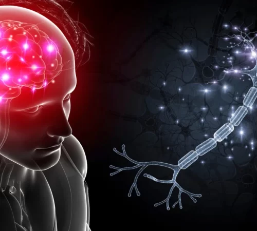 Beyin ve Damar Hastalıkları Hakkında Bilinmesi Gerekenler- insan beyni ve damarları