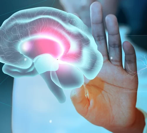 Epilepsi Pili ile Nöbetleri Durdurun- beyin ve beyin sinyalleri