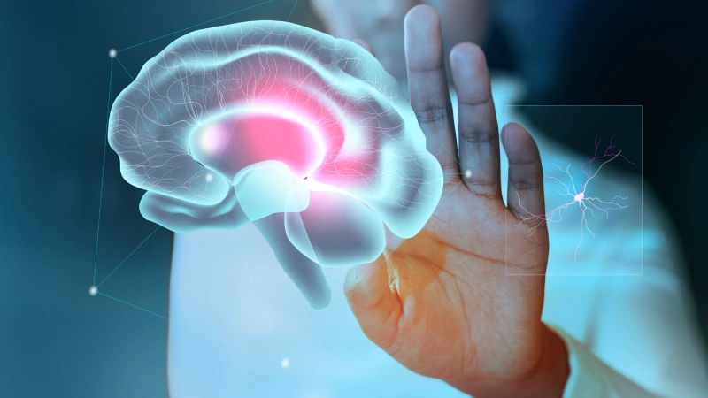 Epilepsi Pili ile Nöbetleri Durdurun- beyin ve beyin sinyalleri
