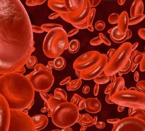 Hemoglobin High (Yüksek Hemoglobin) Nedir? - hemoglobin hücreleri