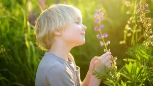 Duyu Bütünleme Nedir? - çiçek koklayan bir çocuk