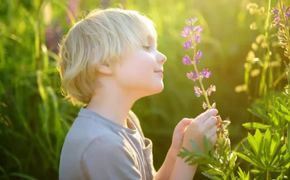 Duyu Bütünleme Nedir? - çiçek koklayan bir çocuk