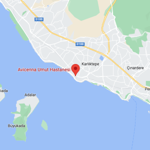 Avicenna Umut Hospital on the Map