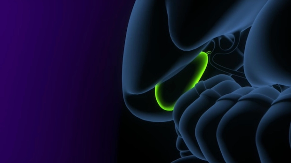 Gallbladder Cancer Treatment in Turkey