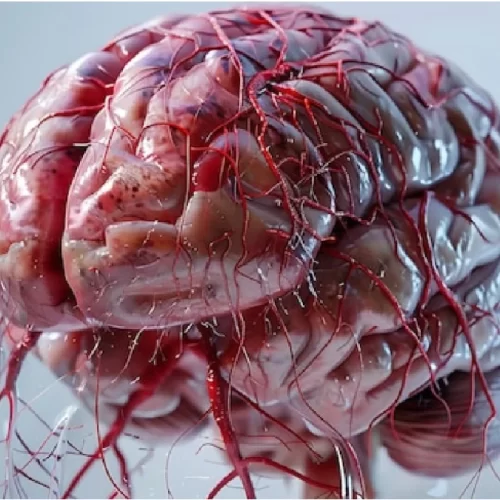 Brain Tumour Treatment in Turkey