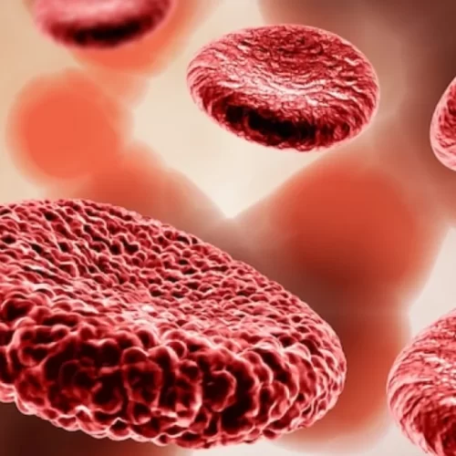 Leukemia Treatment in Turkey