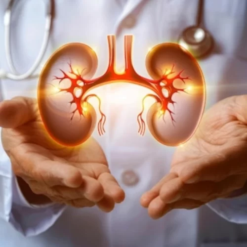 Urology in Turkey