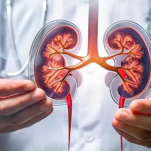 Kidney Cancer Treatment in Turkey