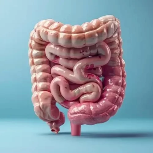 Small Intestine Cancer Treatment in Turkey