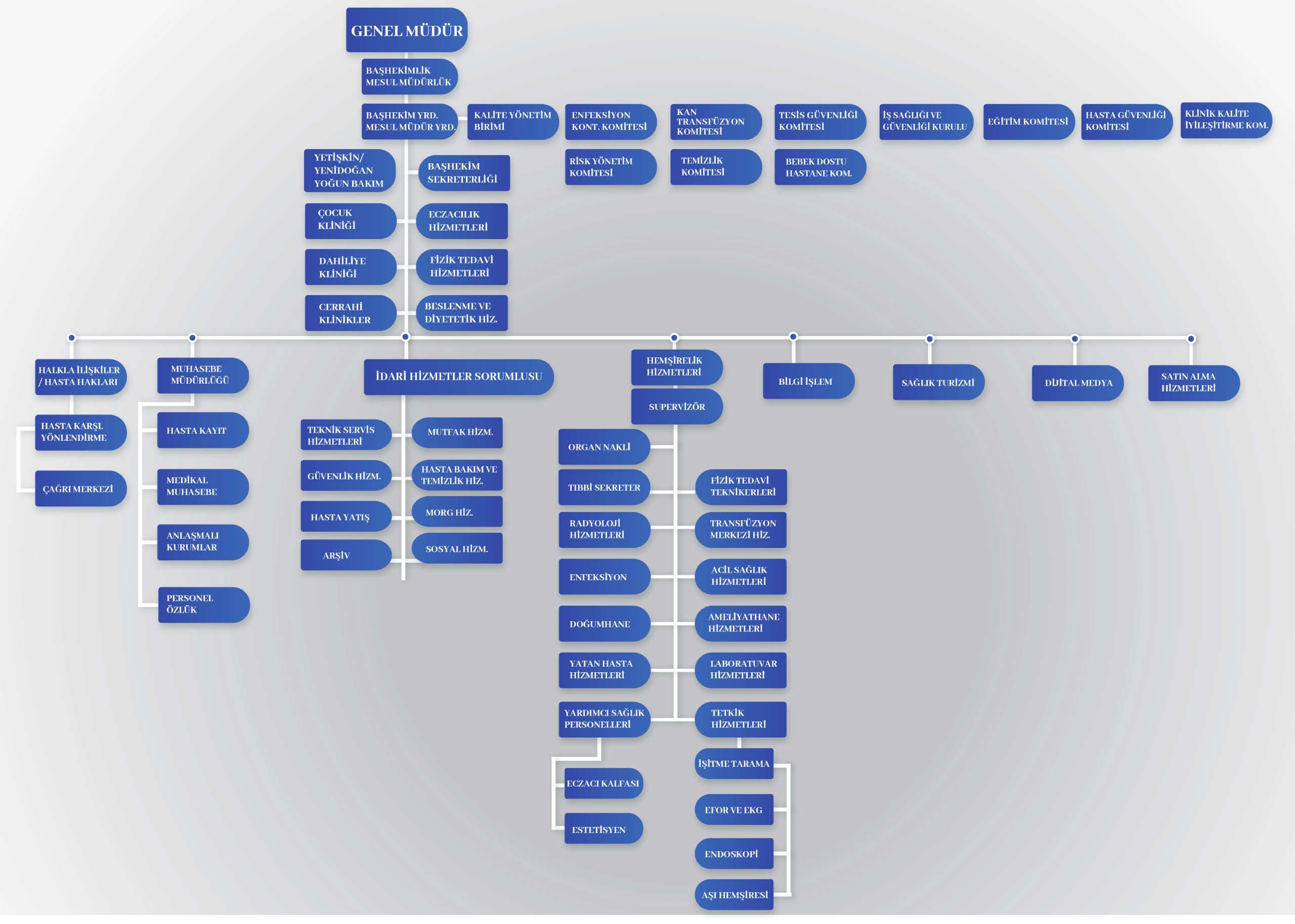 Kartal Avicenna Hastanesi Organizasyon şeması