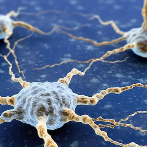 Neuroendocrine Tumours Treatment in Turkey
