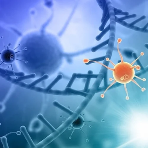 Immunotherapy in Turkey