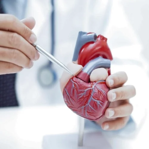 Coronary Heart Disease Treatment in Turkey