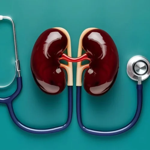 Kidney Stones Treatment in Turkey